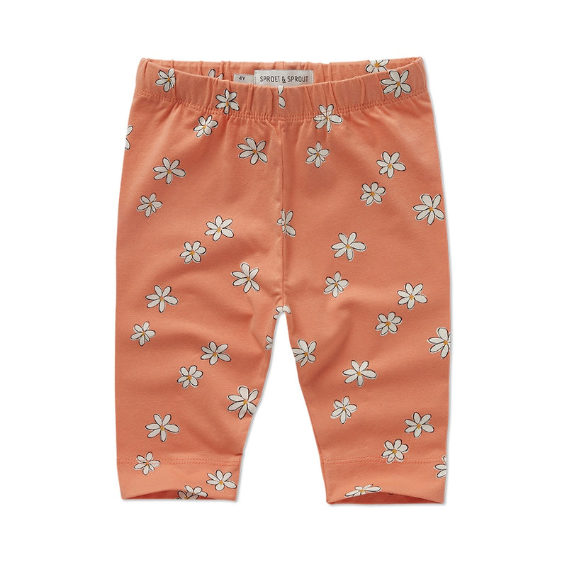 Sproet & Sprout Biker Leggings Daisies bei Yay Kids